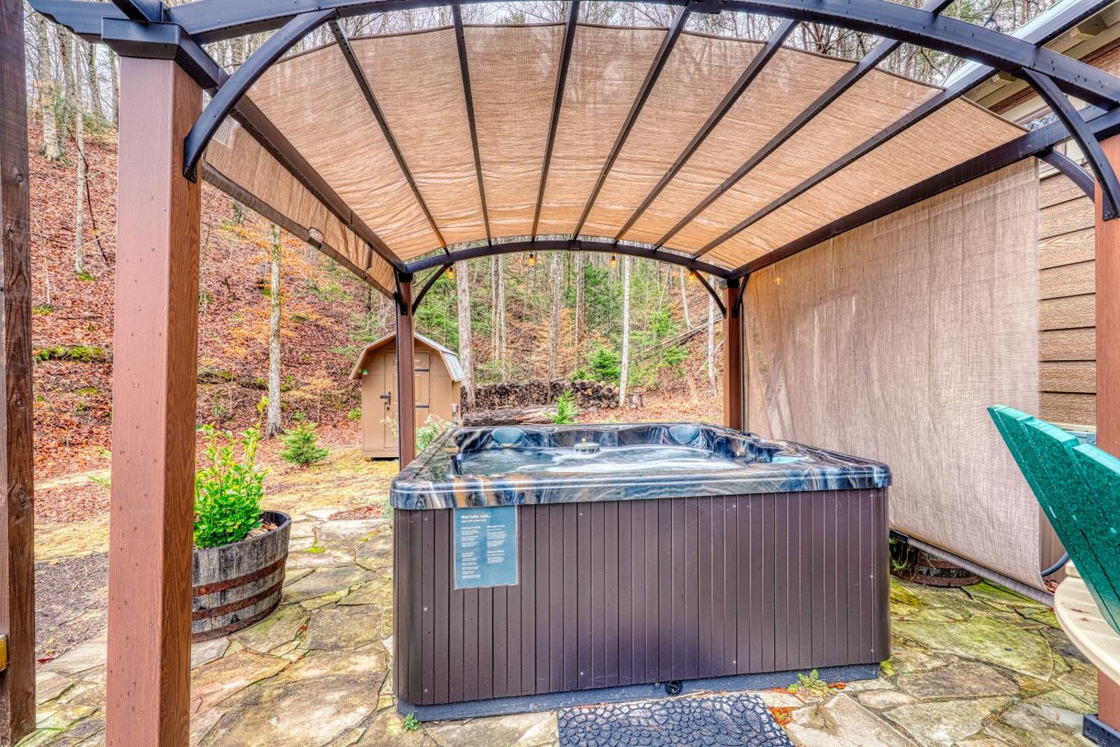 Smoky Mountain Tiny Home Main image 2
